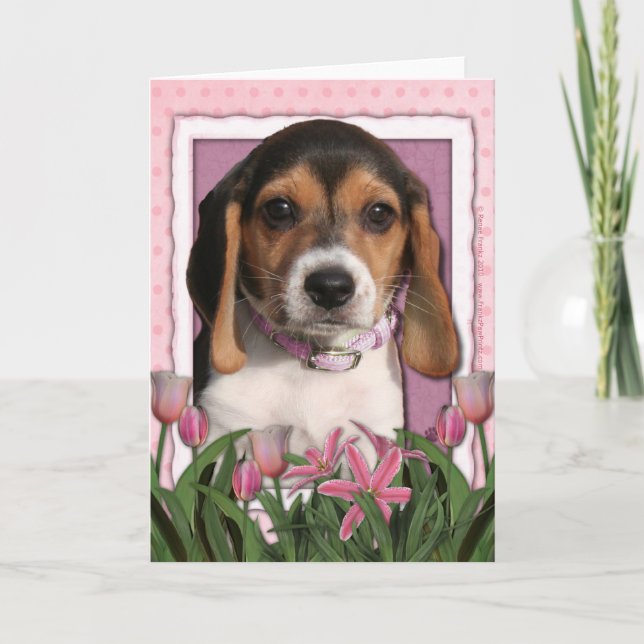 Carte Fête des mères - Tulipes roses - Chiot Beagle (Devant)