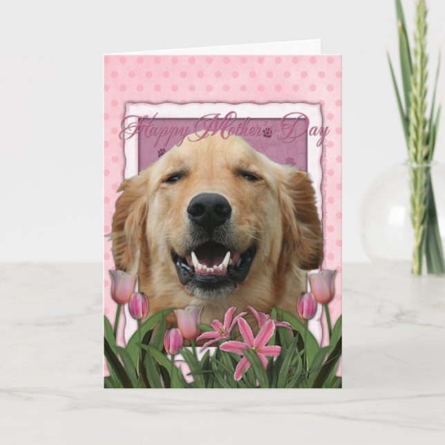 Carte Fête des mères - Tulipes roses - Golden Retriever (Devant)