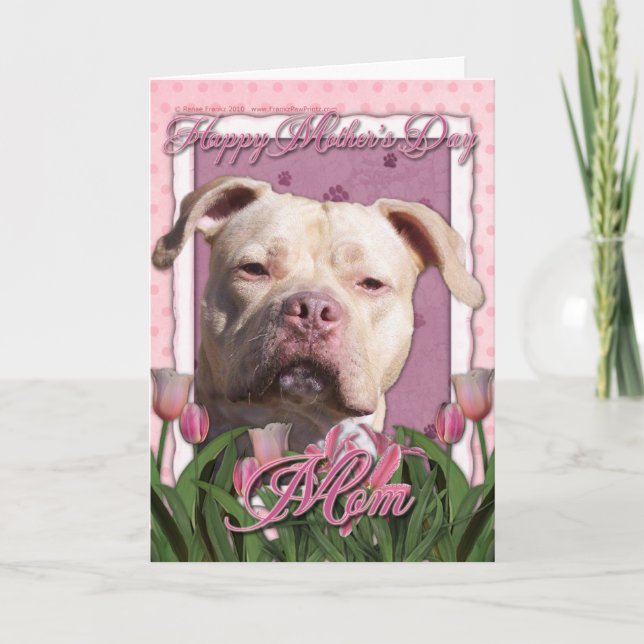 Carte Fête des mères - Tulipes roses - Pitbull - Jersey  (Devant)