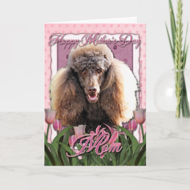 Carte Fête des mères - Tulipes roses - Poodle - Chocolat (Devant)