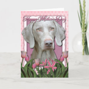 Carte Fête des mères - Tulipes roses - Weimaraner - Yeux