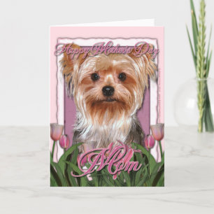 Carte Fête des mères - Tulipes roses - Yorkshire Terrier