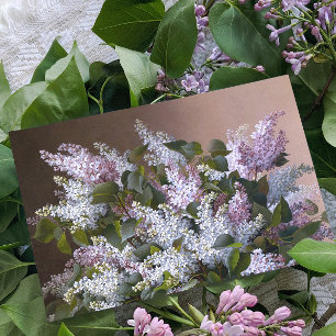 Carte Fête des Mères Vintage Lilacs