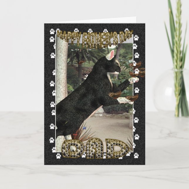 Carte Fête des pères Card Moonys Cool Chats Collection (Devant)
