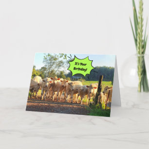 Carte Fête Jusqu'À Ce Que Les Vaches Reviennent À La Mai