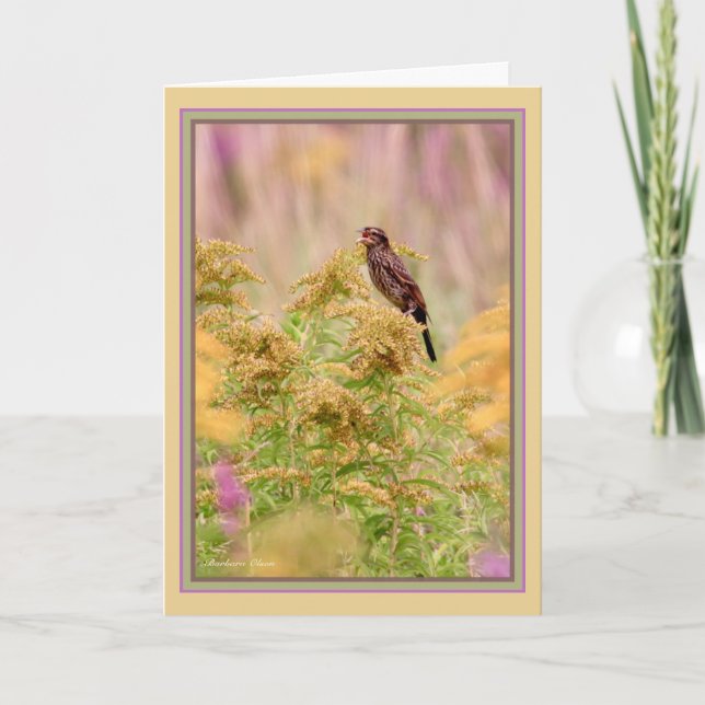 Carte Fêter les oiseaux-gal : oiseau noir à aile rouge f (Devant)