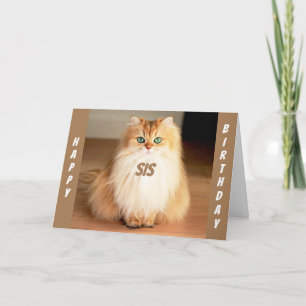 CARTE **FÊTONS VOUS SIS** UN CHAT À GRAND OEIL DIT