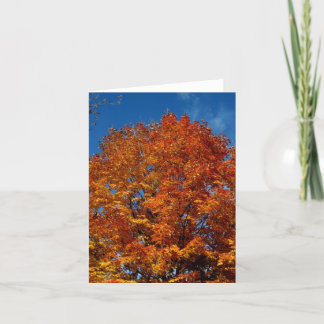 Carte Feu supérieur de l'arbre vierge_orange