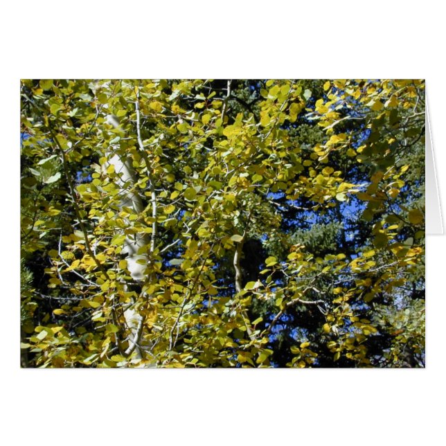 Carte Feuille Aspen automne (Devant horizontal)