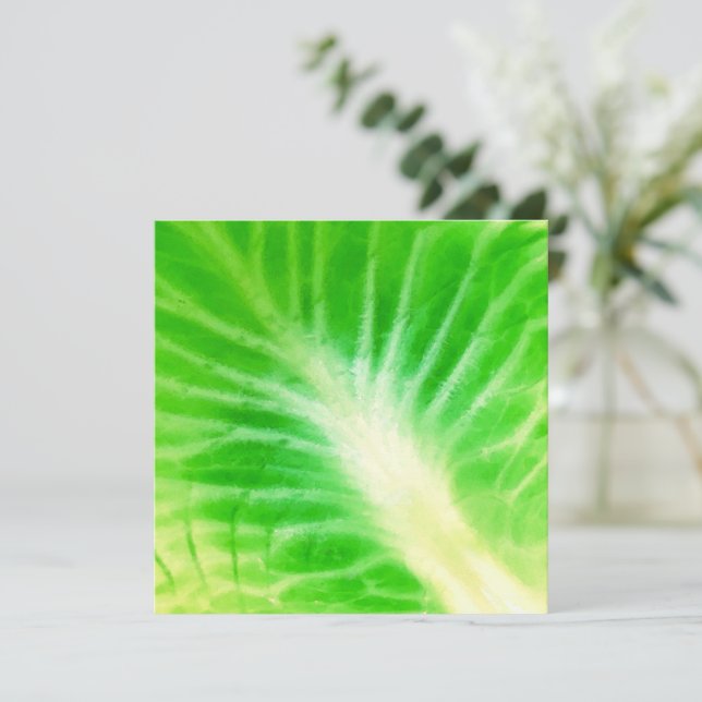 Carte Feuille de choux (Debout devant)