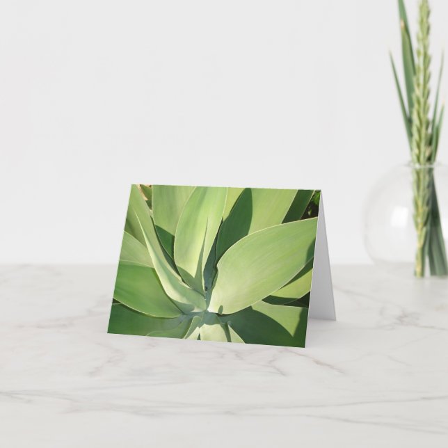 Carte Feuille et ombres v2 (Devant)