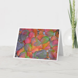 Carte Feuilles d'automne