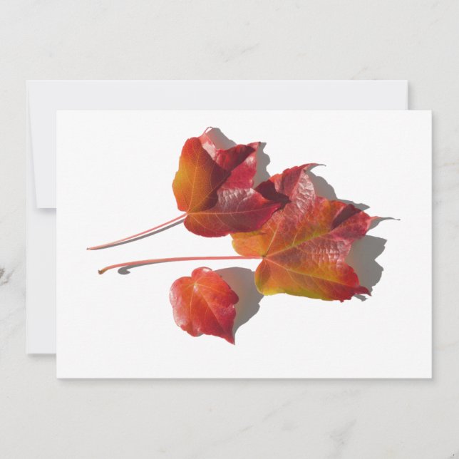 Carte Feuilles d'automne (Devant)