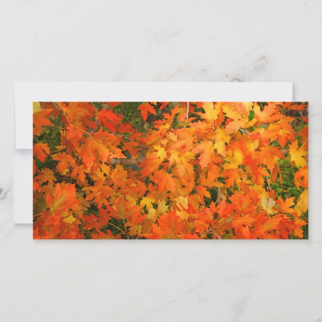 Carte Feuilles d'automne (Devant)