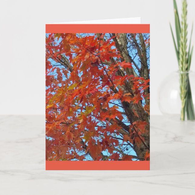 Carte Feuilles d'automne rouges (Devant)