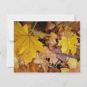 Carte Feuilles de Érable Tombées Jaune Automne Nature