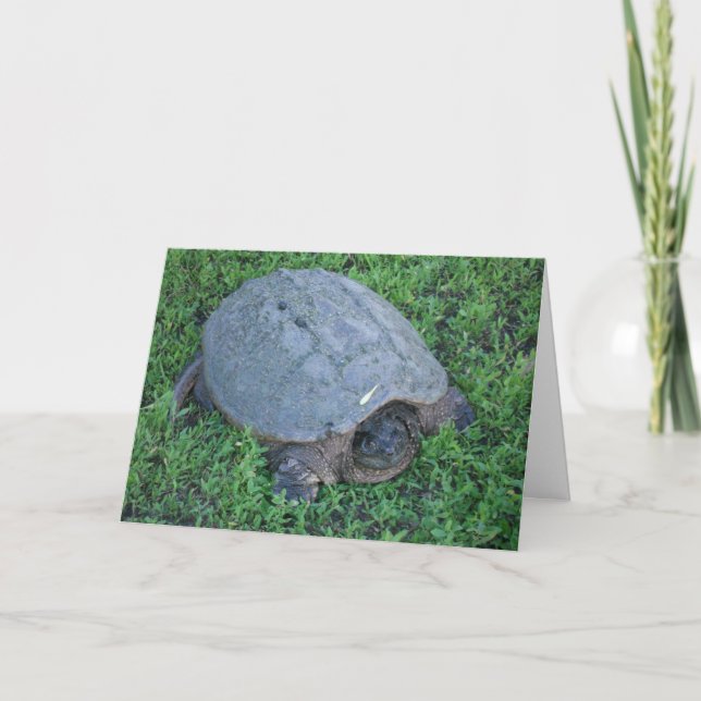 Carte Fierté pendant plus de 70 millions d'années Annive (Devant)