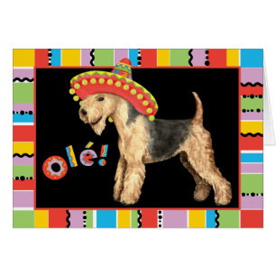 Carte Fiesta Lakeland Terrier