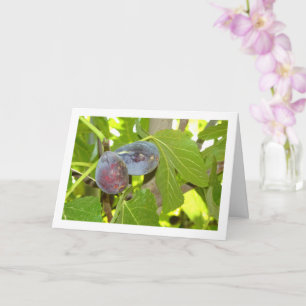 Carte Figes sur le portrait de l'arbre