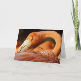 Carte Flamant rose