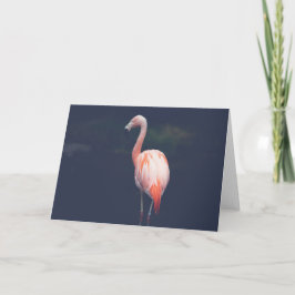 Carte Flamant rose au crépuscule