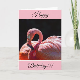 Carte Flamant rose d'anniversaire personnalisée