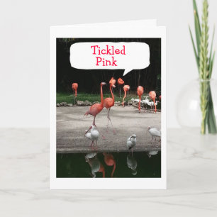 Carte Flamants roses SONT "TICKLED PINK" C'EST VOTRE ANN