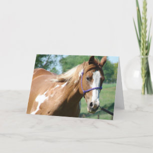 Carte Flashy sur la Lungeline