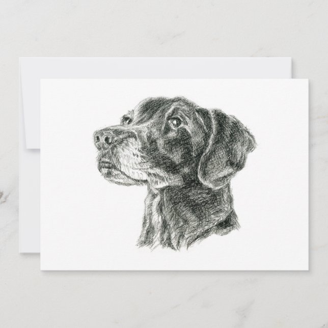 Carte Flat Black Lab (Devant)