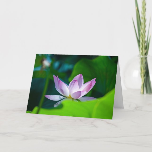 Carte Fleur #0417 (Devant)