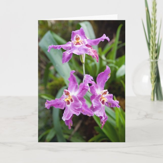 Carte Fleur #2770 (Devant)