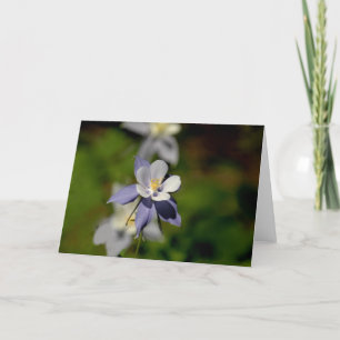 Carte Fleur 7 de Columbine