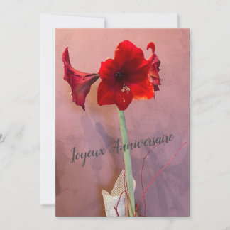 Carte Fleur Amaryllis