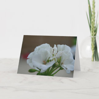 Carte Fleur blanche