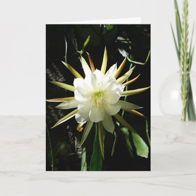 Carte Fleur Cactus (Devant)