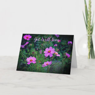 Carte Fleur Cosmos Rose Violet Se Bien Bientôt