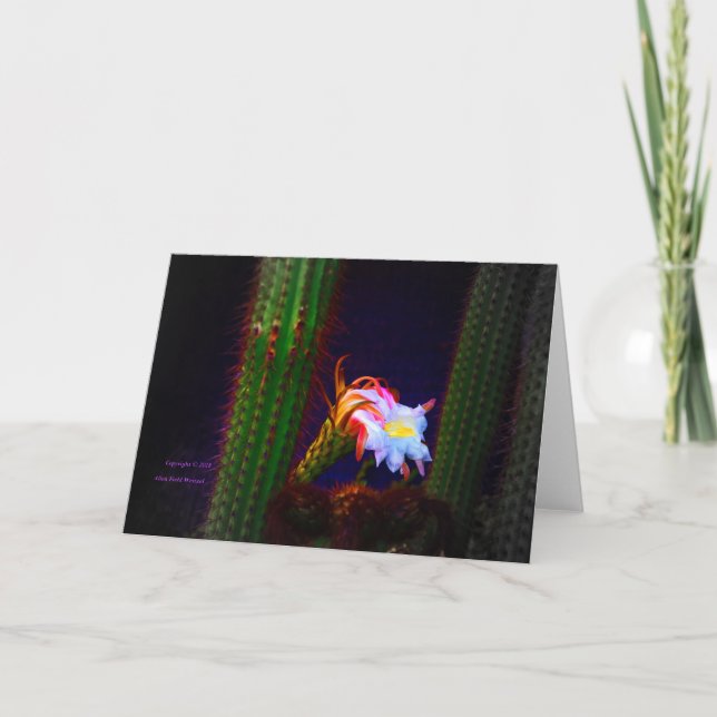 Carte "Fleur de cactus au coucher du soleil n°105" Photo (Devant)