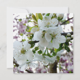 Carte Fleur de cerise