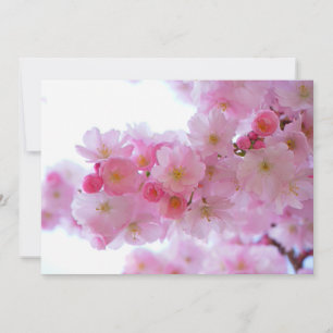 Carte Fleur de cerisier japonaise