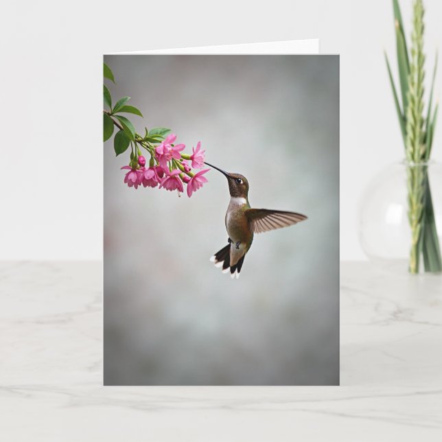 Carte Fleur de Colibri à Points (Devant)