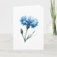 Fleur de Cornouailles florissante avec Salutation 