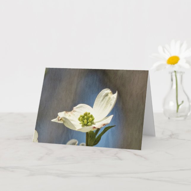 Carte Fleur de Dogwood Blanc (Petite plante)