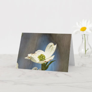 Carte Fleur de Dogwood Blanc