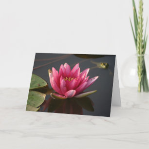 Carte Fleur de lotus avec grenouille