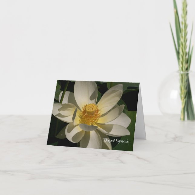 Carte Fleur de Lotus, la sympathie la plus profonde (Devant)