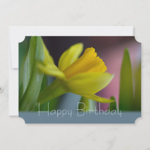 Carte Fleur de narcisse jaune CC0744 Joyeux anniversaire