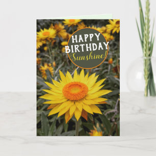 Carte Fleur de Pâquerette en Papier Bonne Energie Joyeux