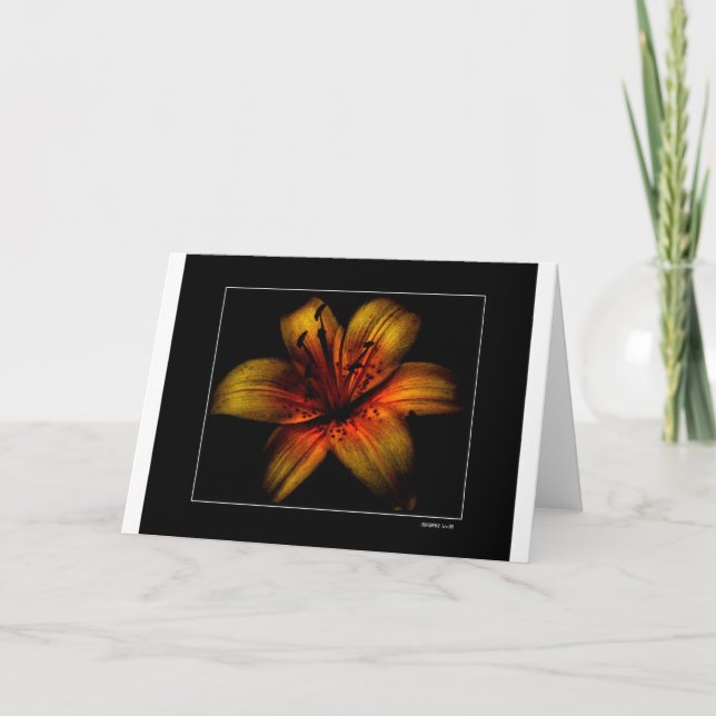 Carte Fleur de passion flamboyante (Devant)