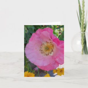 Carte Fleur de pavot rose en été