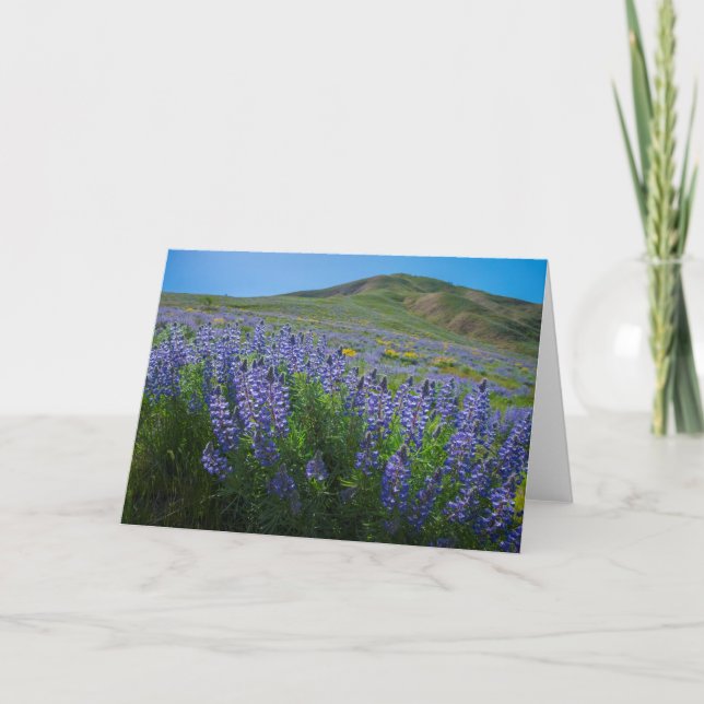 Carte Fleur de printemps de lupine vierge (Devant)